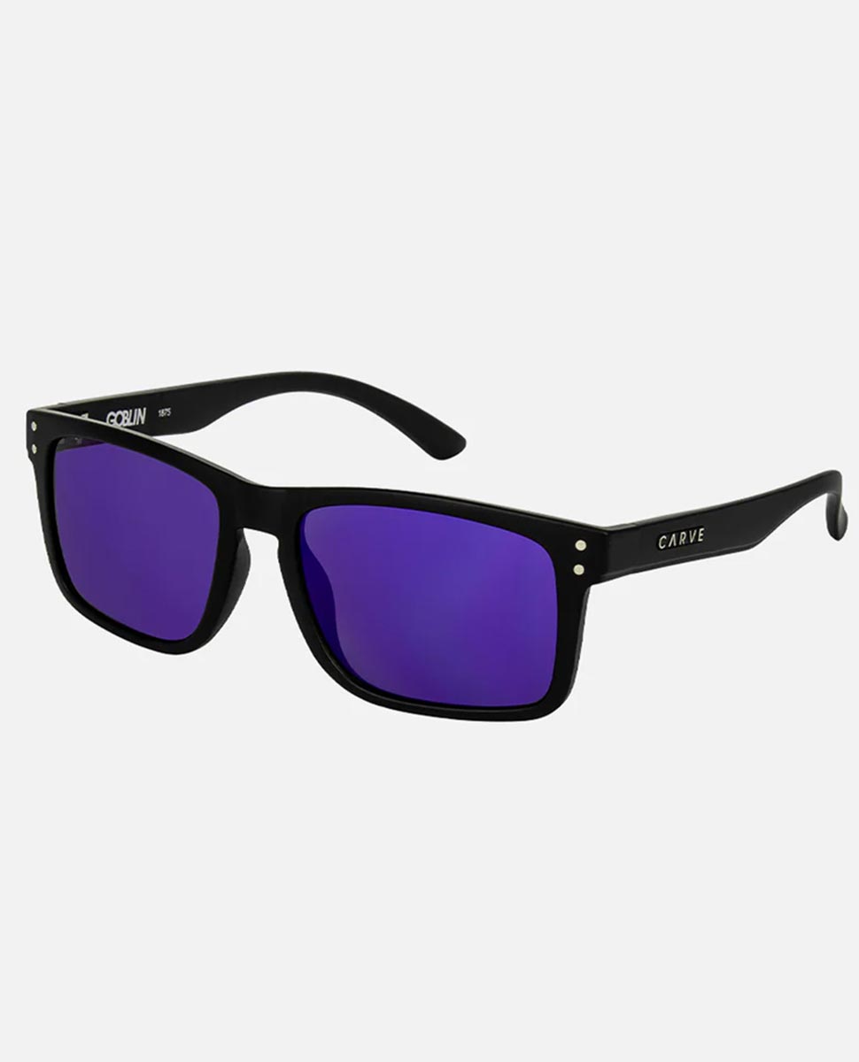 Goblin Matt Blk Purple Revo Sunglasses